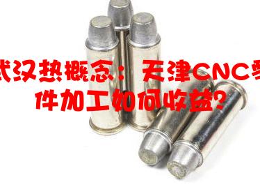 武汉热概念：天津CNC零件加工如何收益？